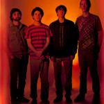 Animal Collective stream their new album 'Centipede Hz'