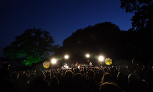 Lunar Festival – Tanworth-in-Arden, 5th–7th June 2015 27 1075