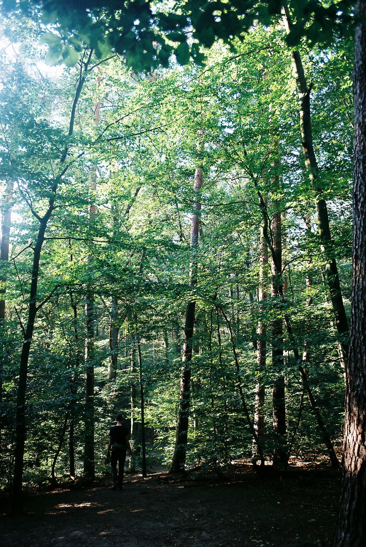 Preaching from the Pews: Psylhouette 26 Preaching from the Pews: Psylhouette