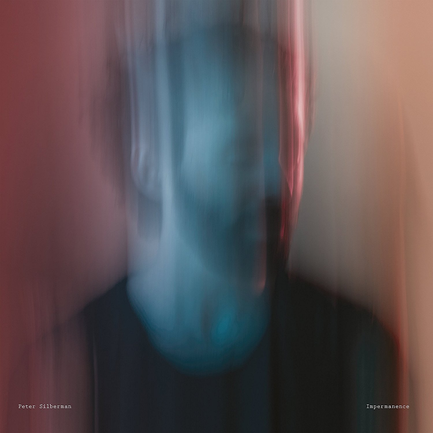 Peter Silberman  - Impermanence (Transgressive Records)