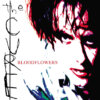 The Last Day Of Summer: The Cure - Bloodflowers