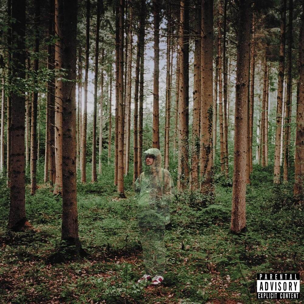 grandson - I Love You, I'm Trying (Fueled By Ramen)