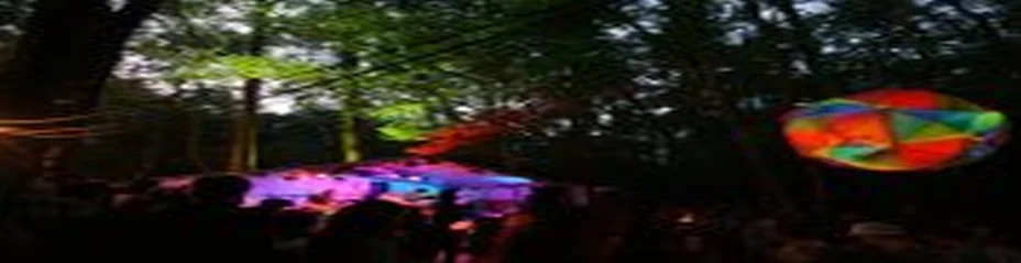 WIN! A PAIR OF TICKETS TO In The Woods Festival! 22 WIN! A PAIR OF TICKETS TO In The Woods Festival!