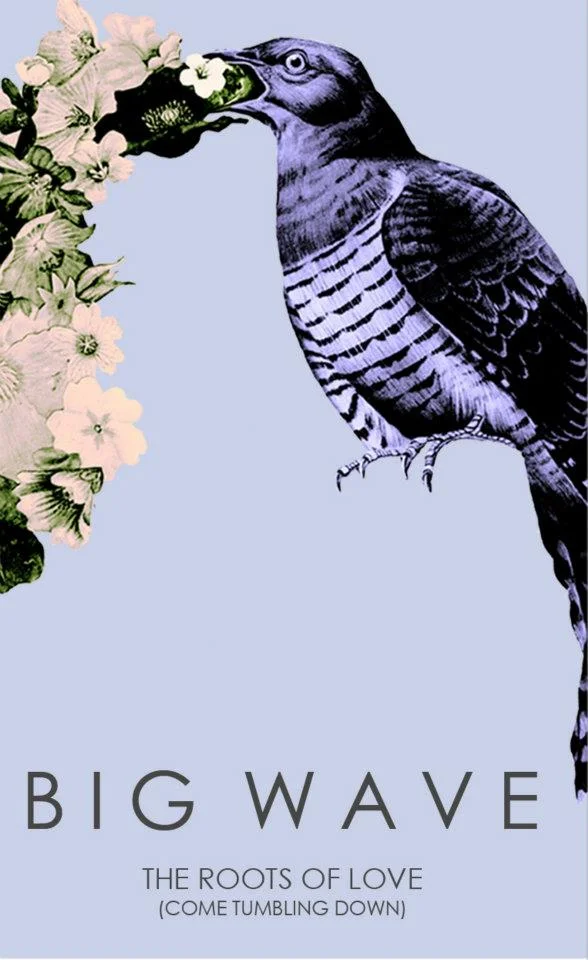 Big Wave - 'The Roots Of Love (Come Tumbling Down)' EP - (Soft Power Records)