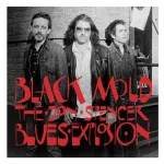 Track Of The Day #113: The Jon Spencer Blues Explosion - Black Mould