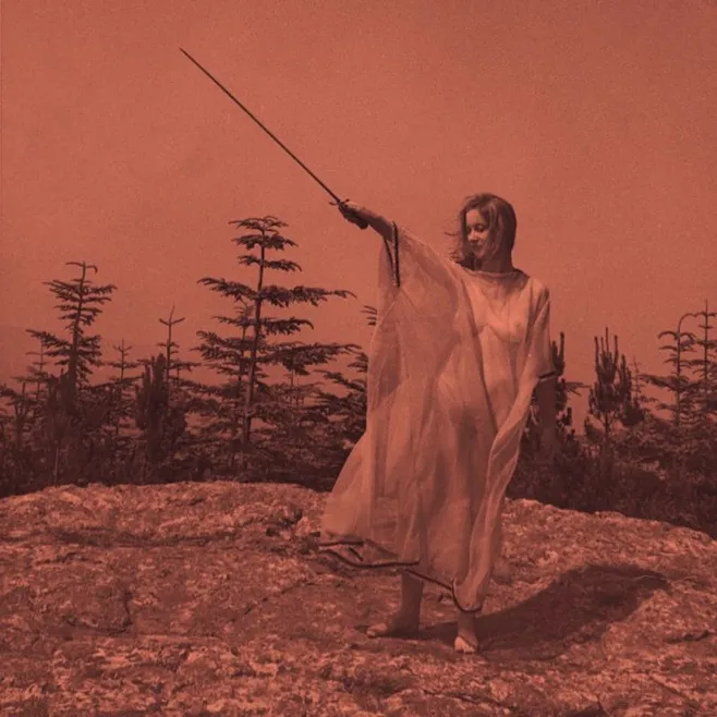 Unknown Mortal Orchestra - II (Jagjaguwar) 29 Unknown Mortal Orchestra - II (Jagjaguwar)