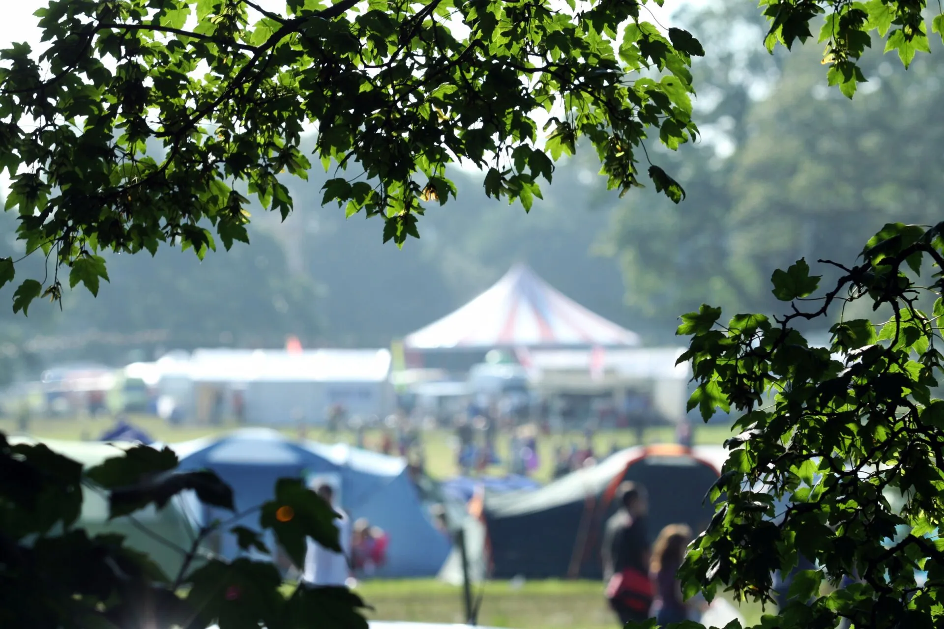 Preview: Deer Shed Festival – 19th to 21st July 2013 1