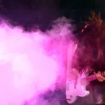 IN PICTURES: Deer Shed Festival 2014 6