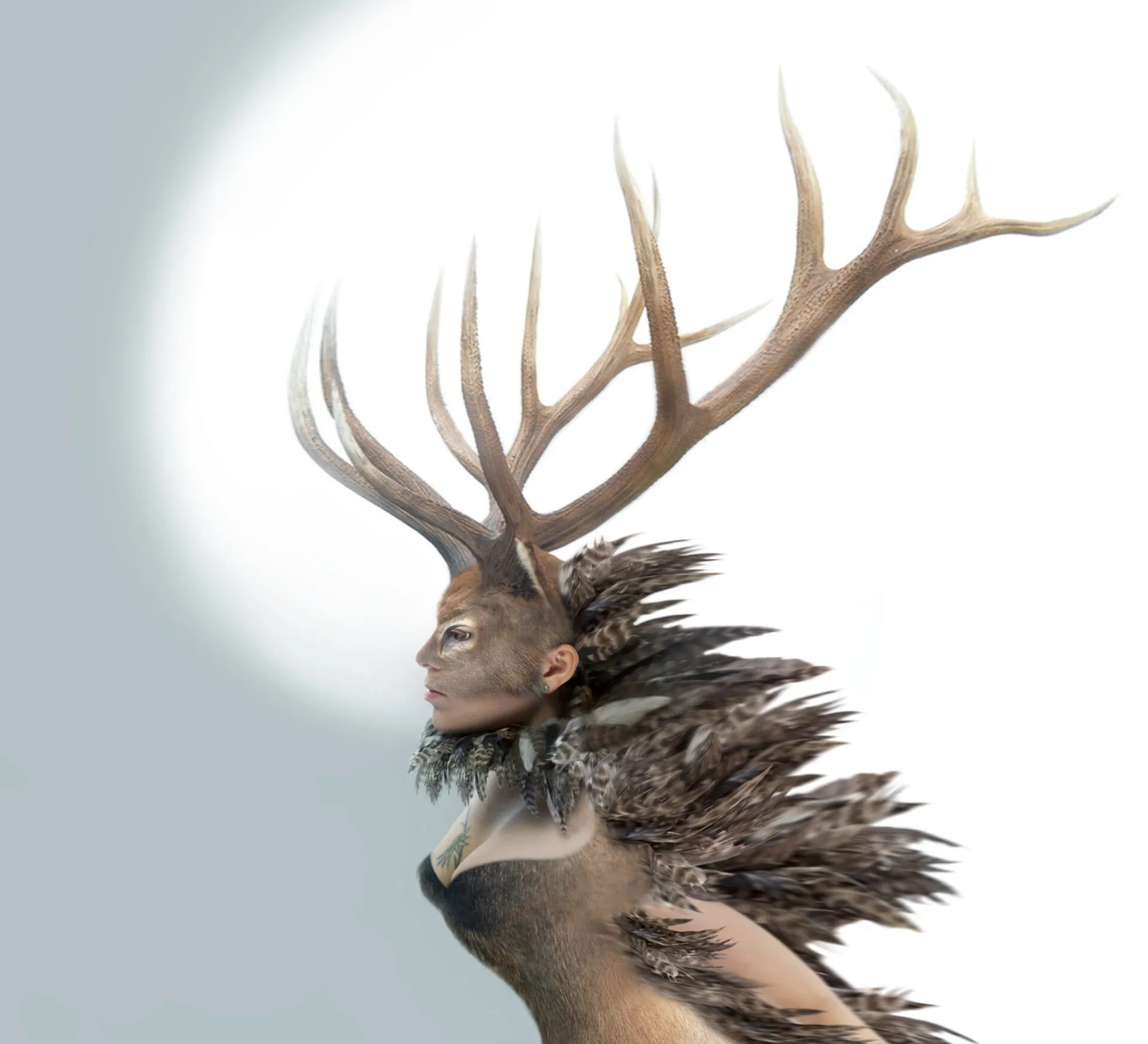 Tanya Tagaq - Animism (Six Shooter Records) 48 Tanya Tagaq - Animism (Six Shooter Records)