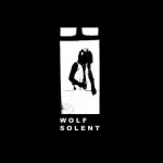 EXCLUSIVE STREAM: Wolf Solent – ‘EP // 2’ (Sea Records) 30 EXCLUSIVE STREAM: Wolf Solent – ‘EP // 2’ (Sea Records) 1