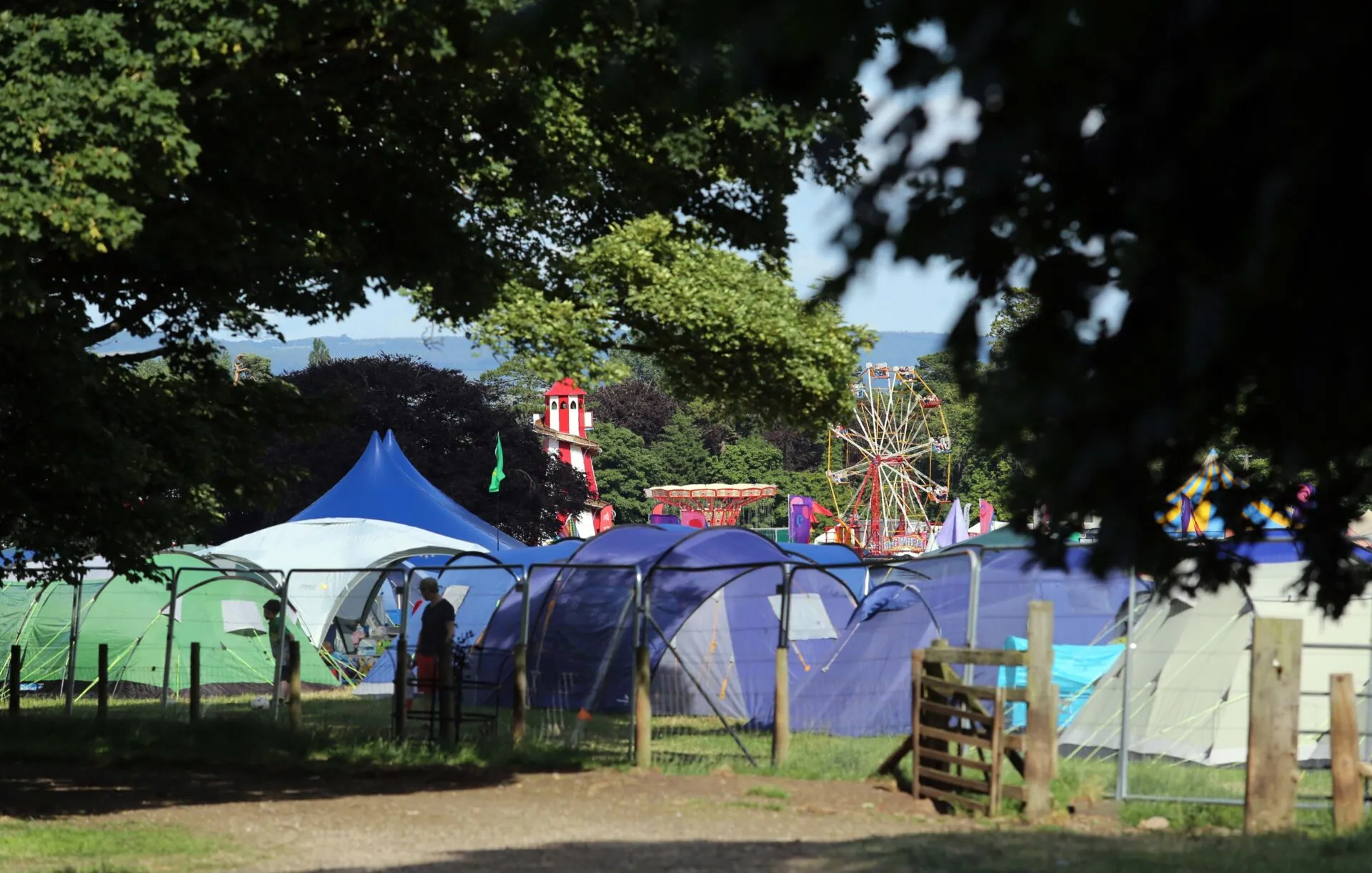 Deer Shed Festival 2015 41 IN PICTURES: Deer Shed Festival 21