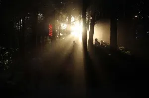 IN PICTURES: Latitude Festival 2015 13