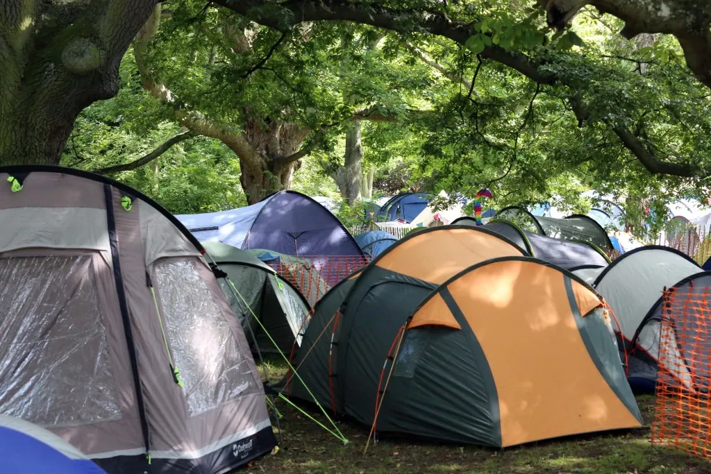 IN PICTURES: Cambridge Folk Festival 2015 8