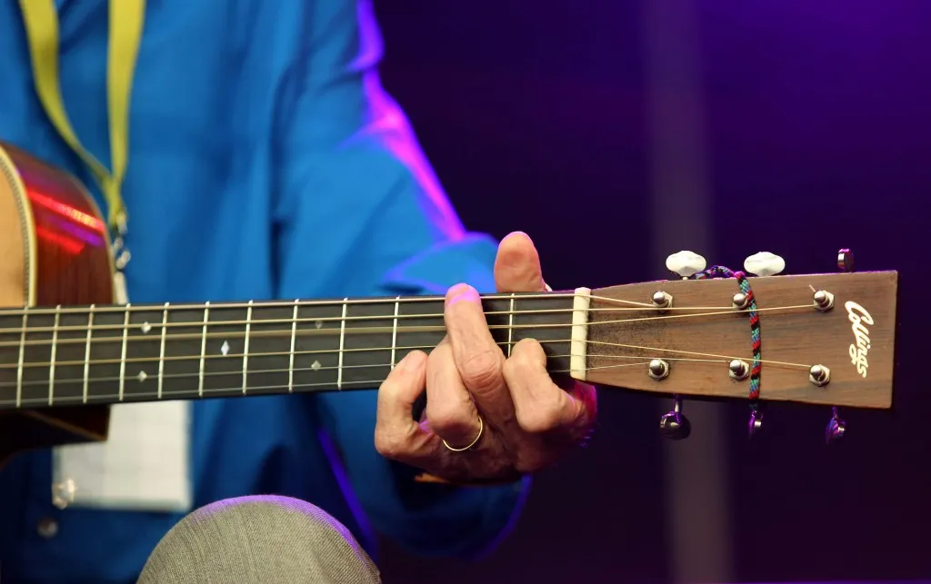 IN PICTURES: Cambridge Folk Festival 2015 13