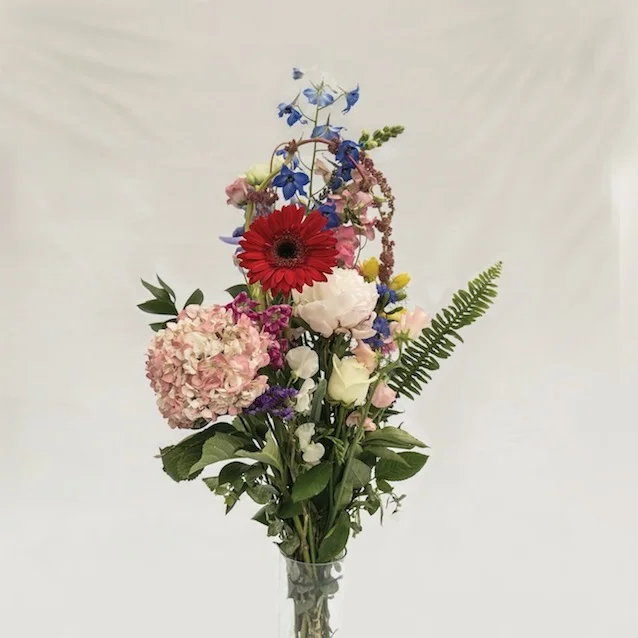 NEWS:  Meilyr Jones announces debut album