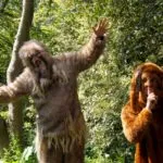 NEWS: Grumbling Fur announce new album, share ‘Acid Ali Khan’