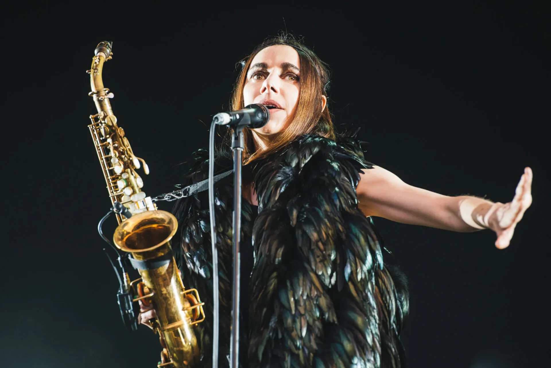 FESTIVAL REPORT:  Field Day 2016 1