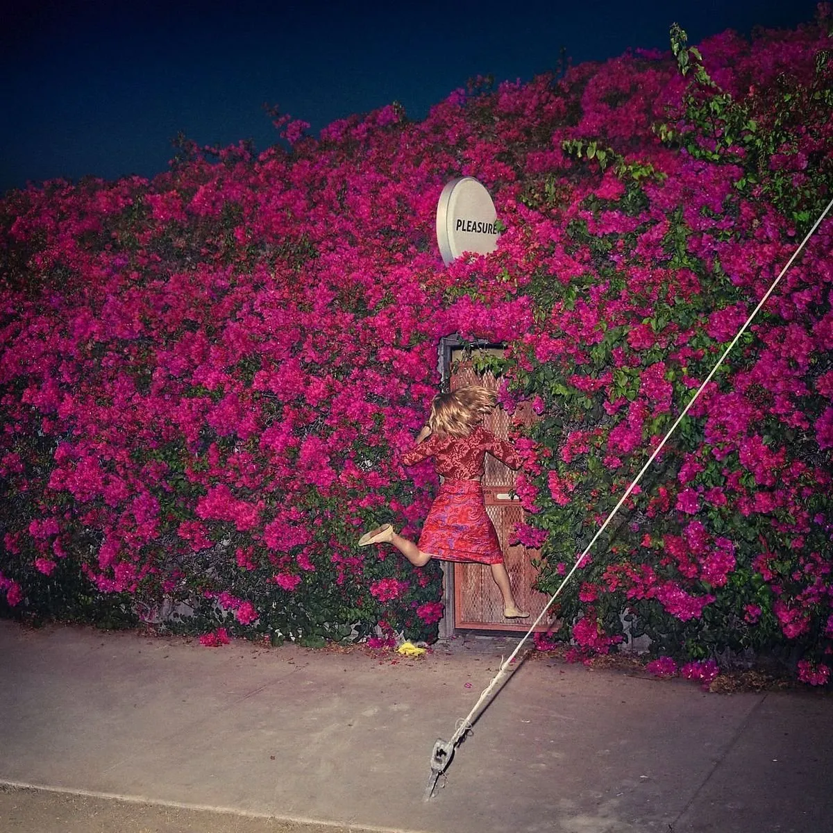 Feist - Pleasure (Polydor) 2