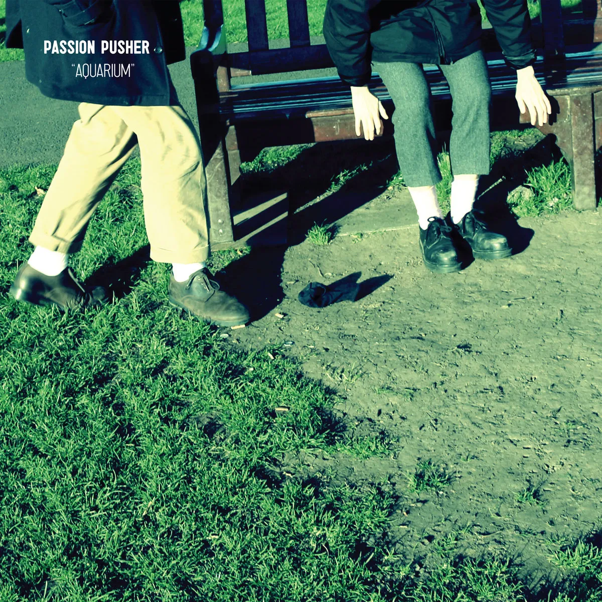 Passion Pusher - Aquarium (Song, By Toad)