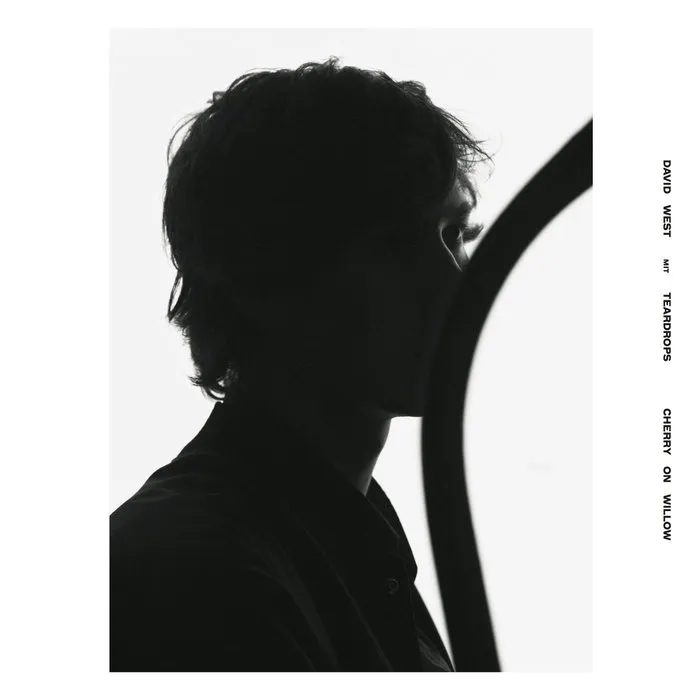 David West and the Teardrops - Cherry on Willow (Tough Love) 22 David West and the Teardrops - Cherry on Willow (Tough Love) 2