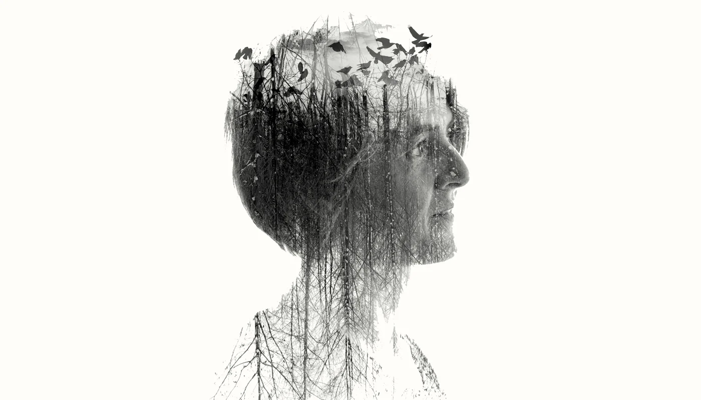 Karine Polwart - A Pocket Of Wind Resistance (Hudson Records)