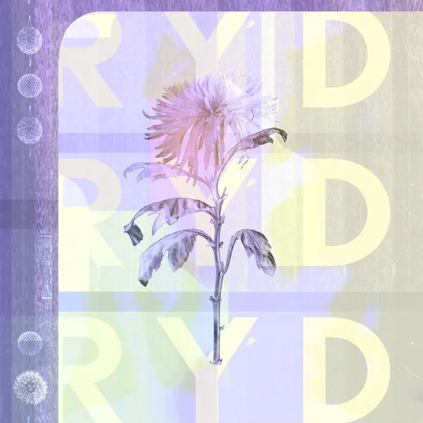 RYD - RYD (37 Adventures)