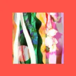 Claw the Thin Ice - Colour Phase