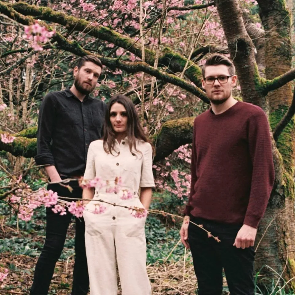 Preaching From The Pews: Shadowlark