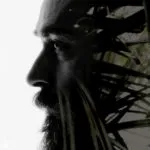 NEWS: The Phoenix Rose Grow Trees With Their Music! 27 NEWS: The Phoenix Rose Grow Trees With Their Music!