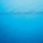 Caribou - Suddenly (City Slang) 26 Caribou - Suddenly (City Slang) 2