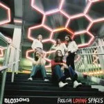 Blossoms - Foolish Loving Spaces(Virgin) 26 91jjbNIOY2L. AC SL1500