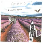 /./:././:/-Spectral Spaces (Spies in the Wires) 28 /./:././:/-Spectral Spaces (Spies in the Wires)