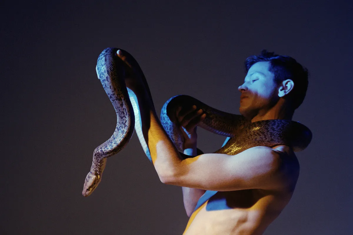 NEWS: Perfume Genius announces winners of 'Without You' video competition, shares fan directed video 36 NEWS: Perfume Genius announces winners of 'Without You' video competition, shares fan directed video