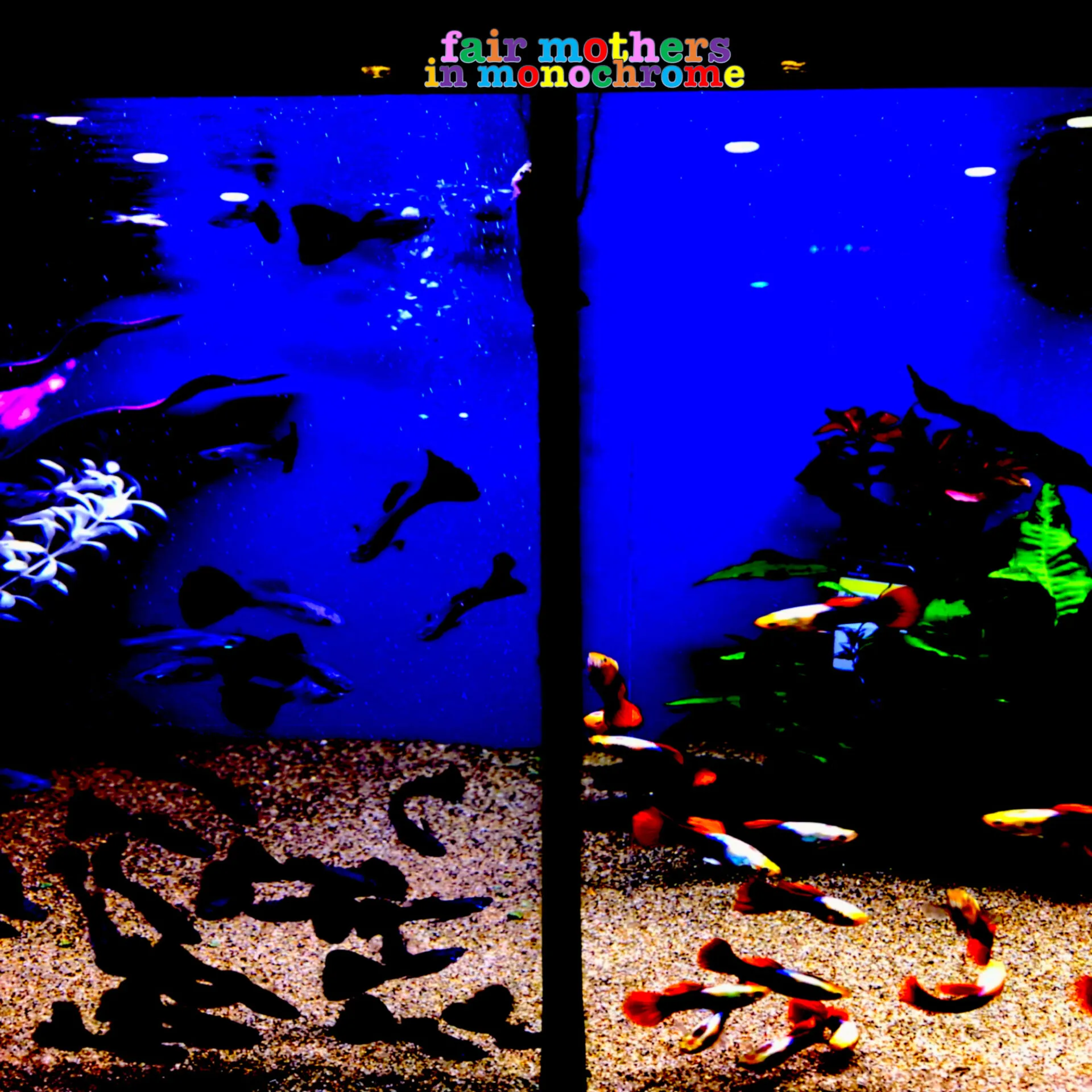 Fair Mothers - In Monochrome (Song, By Toad)