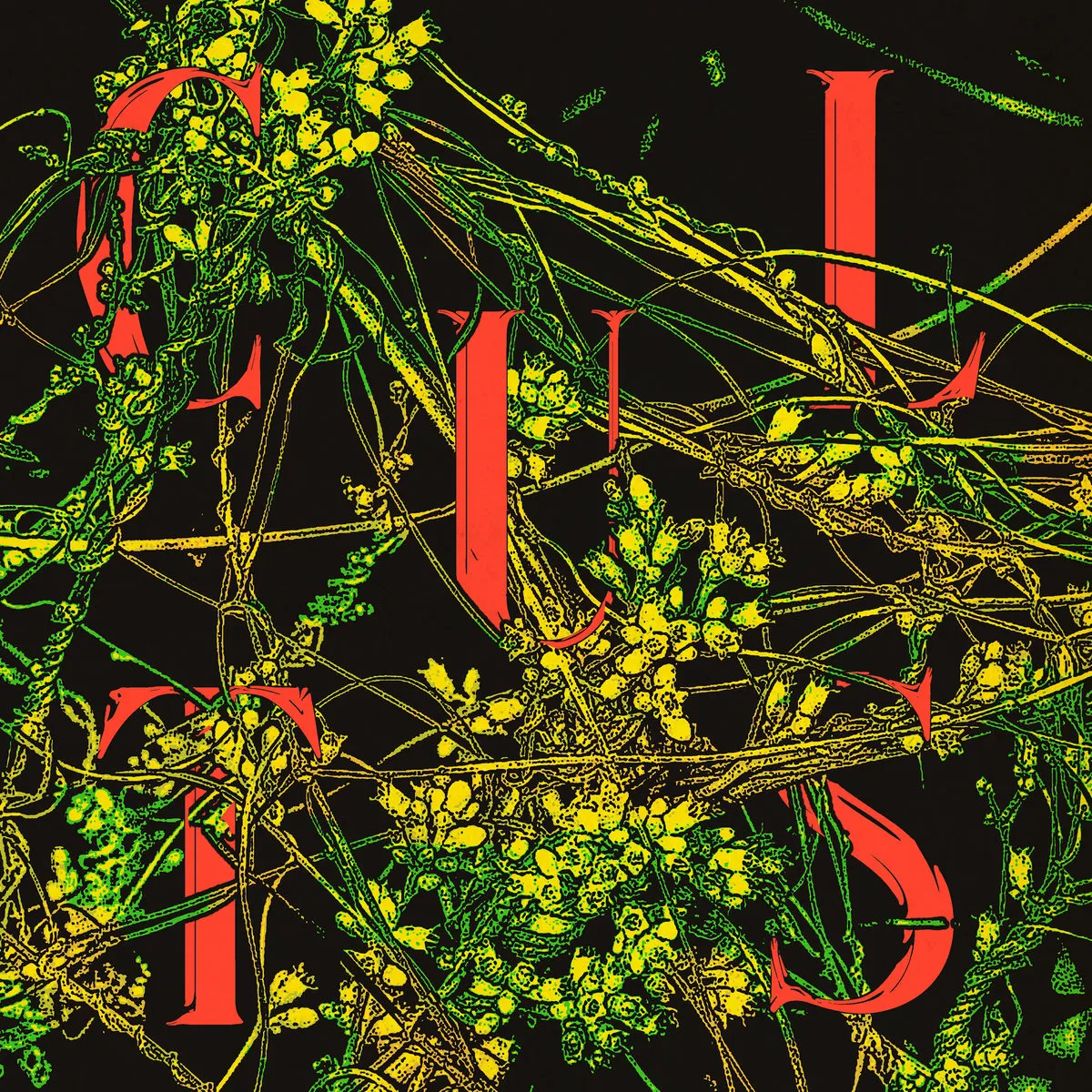 Cults - Host (Sinderlyn records)