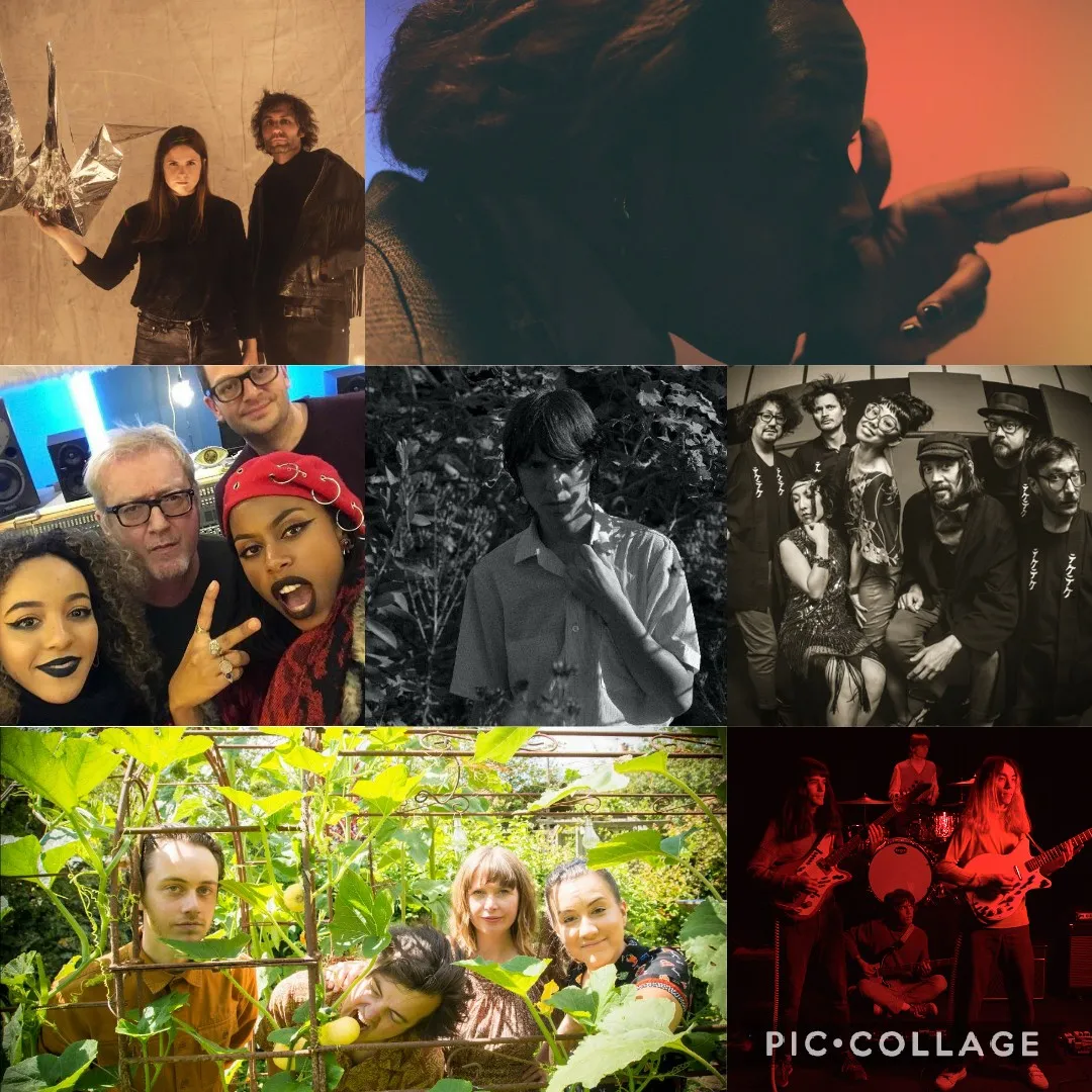 Tracks of the Week #134