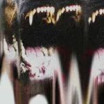 EXCLUSIVE: Lip Critic / Omnibael album stream