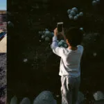 Mega Bog - Life, and Another (Paradise of Bachelors) 27 Mega Bog - Life, and Another (Paradise of Bachelors)