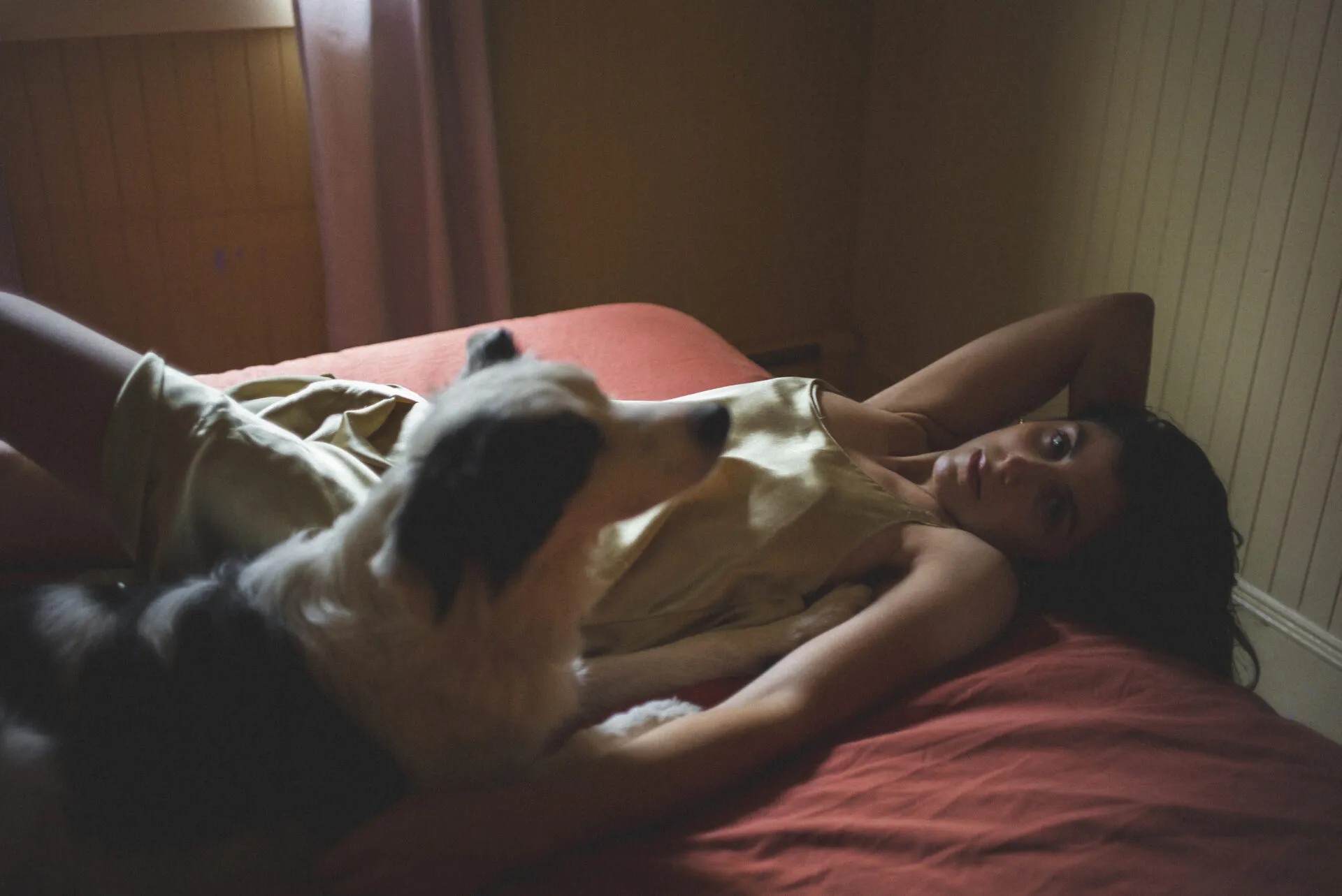 NEWS: Ada Lea shares cinematic video for revelatory new single 'partner' 26 NEWS: Ada Lea shares cinematic video for revelatory new single 'partner'