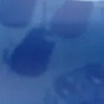 Comet of any Substance-Full of Seeds, Bursting with its own Corrections 27 Comet of any Substance-Full of Seeds, Bursting with its own Corrections