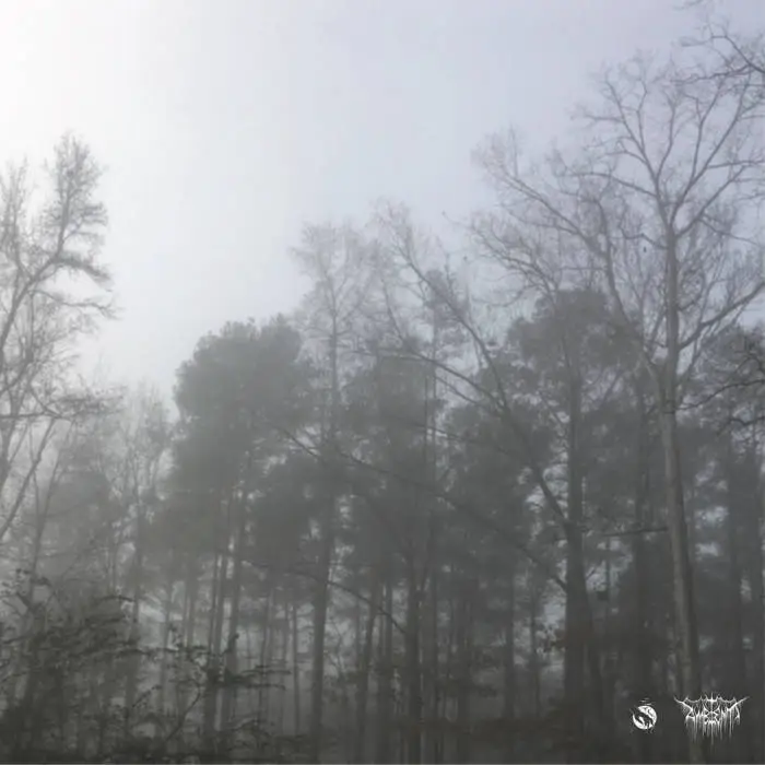 Various - In The Deep Drift You Will Find the Most Serene of Lullabies (American Dream Records)