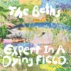 The Beths - Expert In A Dying Field (Carpark) 26 field