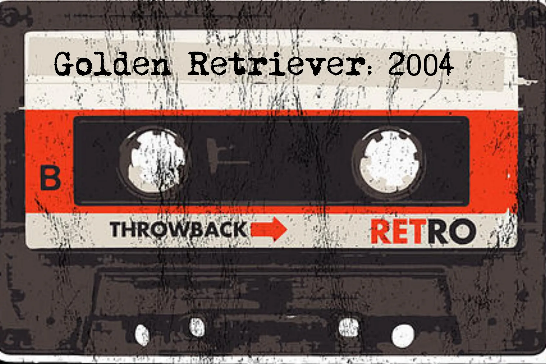 PODCAST: Show Me Magic! Golden Retriever 2004 22 PODCAST: Show Me Magic! Golden Retriever 2004