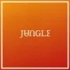 Jungle - Volcano (Caiola Records) 25 jungle volcano artwork