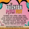 NEWS: Stewart Lee to curate stage at the Inaugural Brighton Psych Fest 2024 27 image