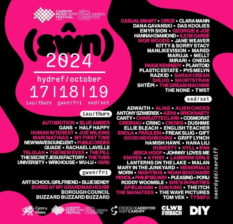 NEWS: Lambrini Girls, Philip Selway, HONESTY, The Tubs, Jesca Hoop amongst new names for Sŵn Festival 23 swn24new