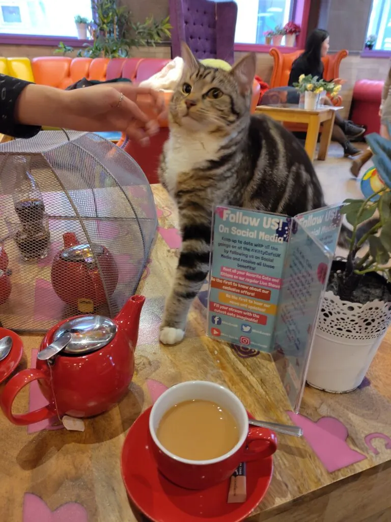 Tour Diary - Desperate Journalist - Day 4: Manchester 23 1000043335