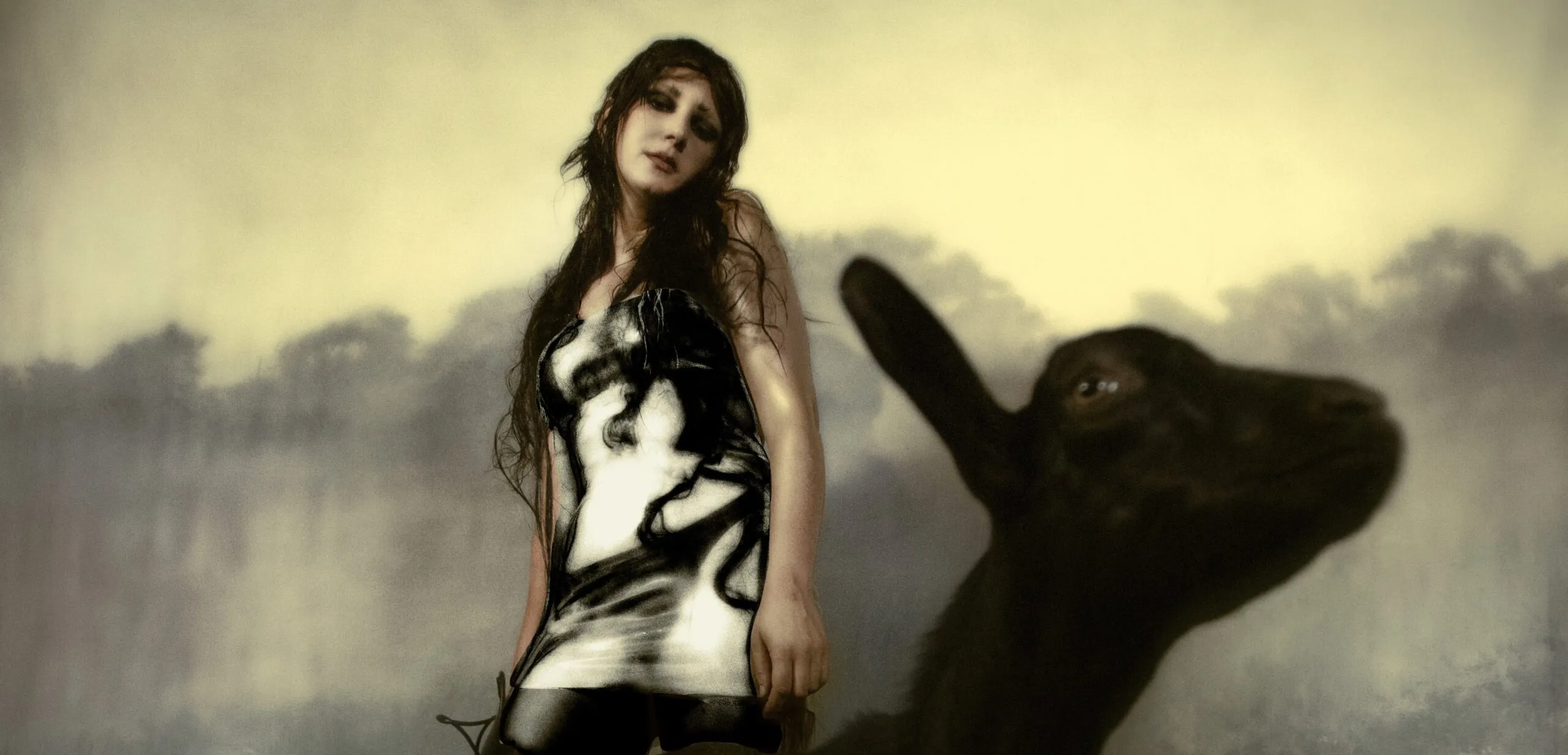 Crop 07 Megaloner credit Dana Trippe 1 scaled