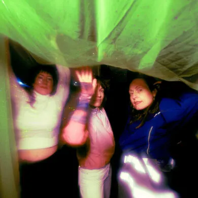 STEALINGSHEEP PRESS 2025 28