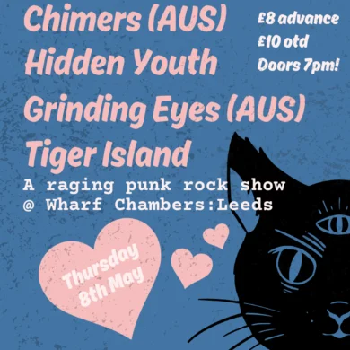 PREVIEW: Chimers / Hidden Youth / Grinding Eyes / Tiger Island at Wharf Chambers in Leeds 28 IMG 0234